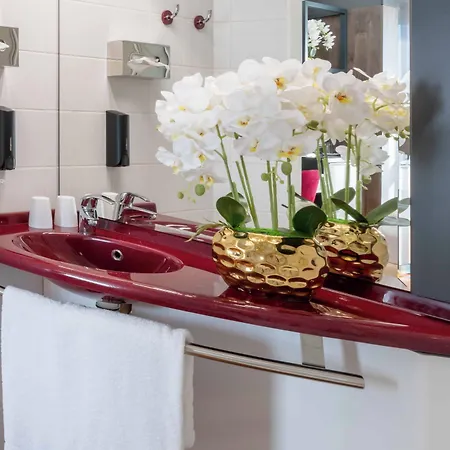 Plaza Premium Parkhotel 4* Neu-Ulm