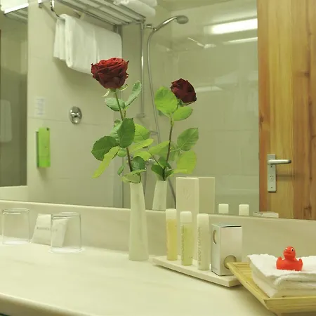 Plaza Premium Parkhotel 4* 뉴울름